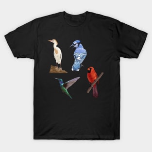 East Cost Birds Detailed Illustration Four Pack (Egret, Blue Jay, Hummingbird, Cardinal) T-Shirt